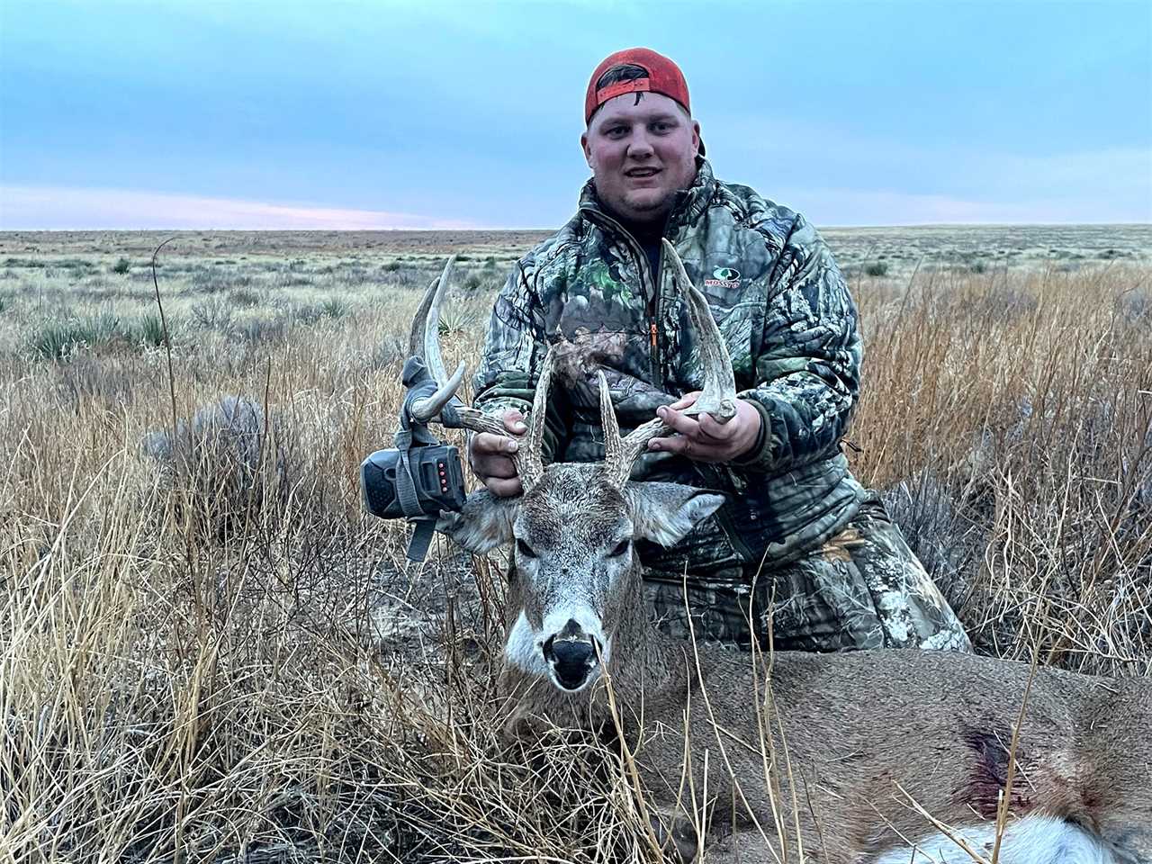 kansas buck steals trail cam