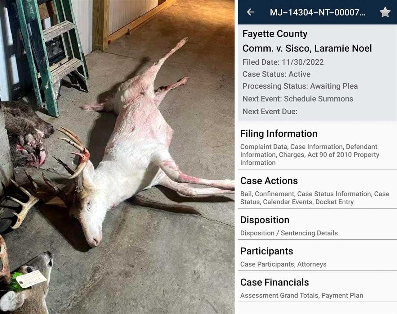 locals riled rare piebald buck poached PA