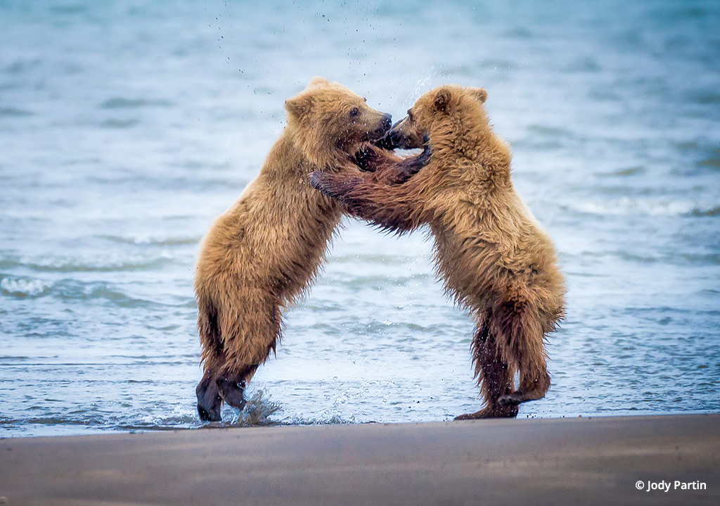 Photo Of The Day By James Day