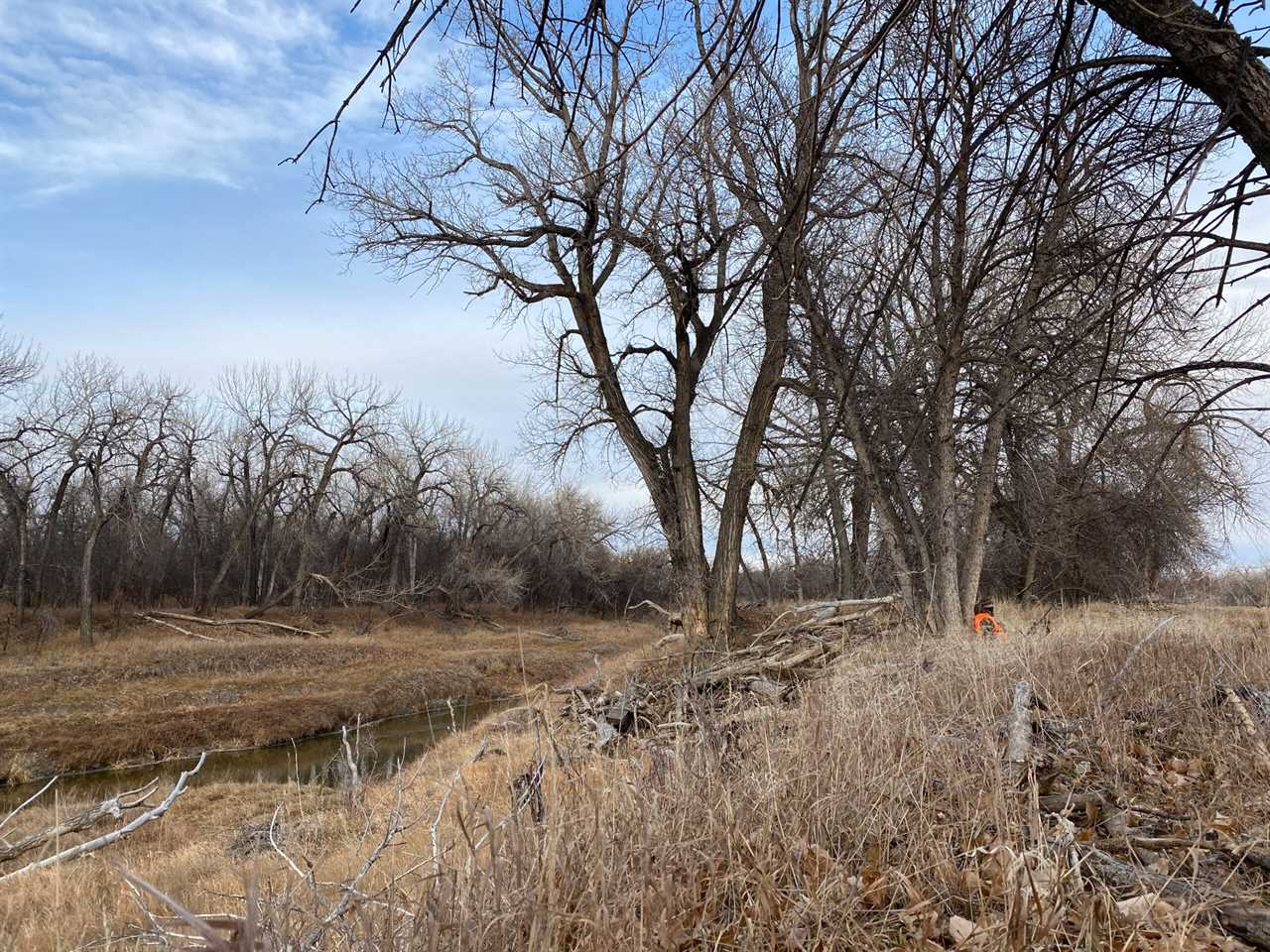 Hunting whitetails along the Milk River.