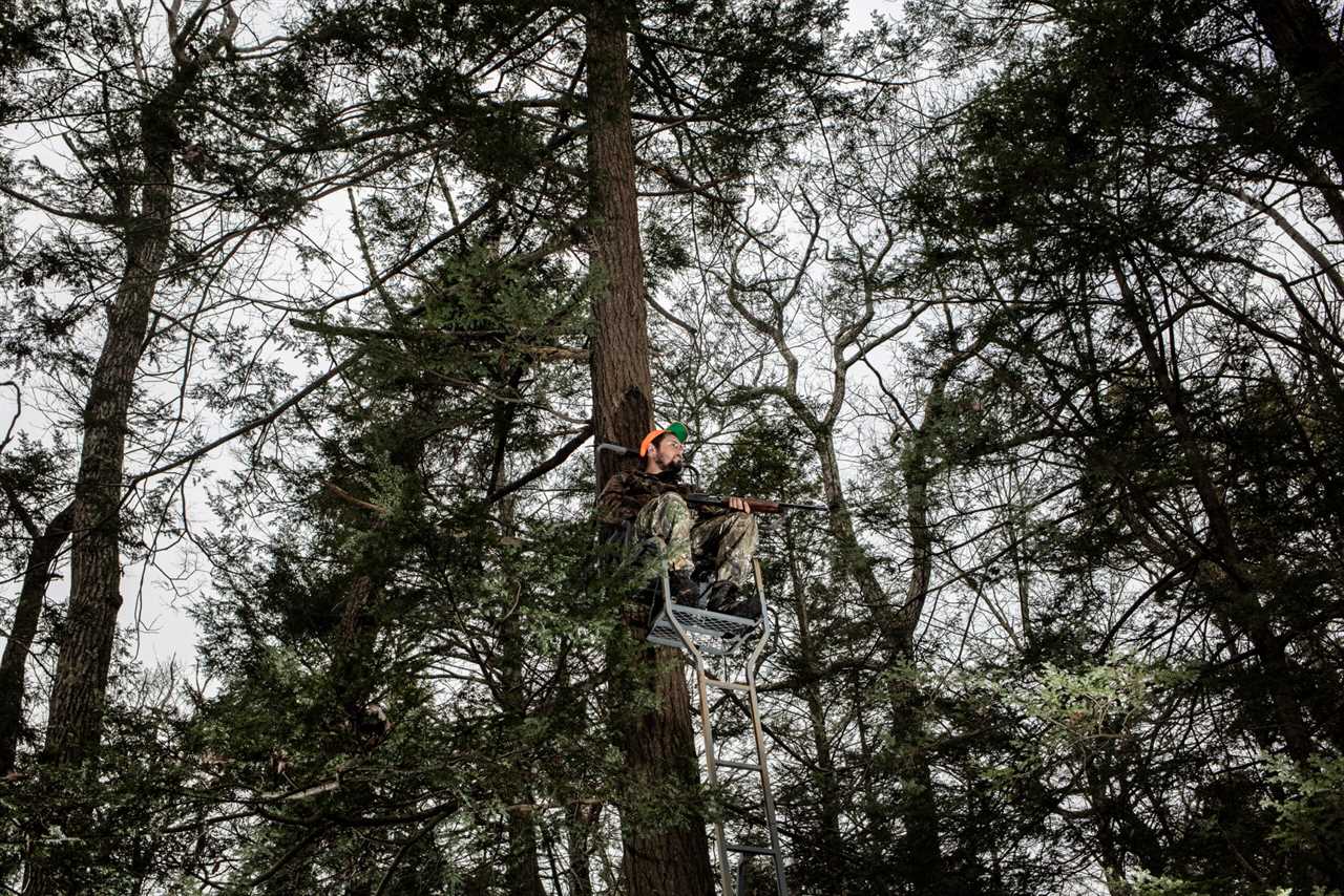 A bear hunter sits in a treestand in New Jersey.