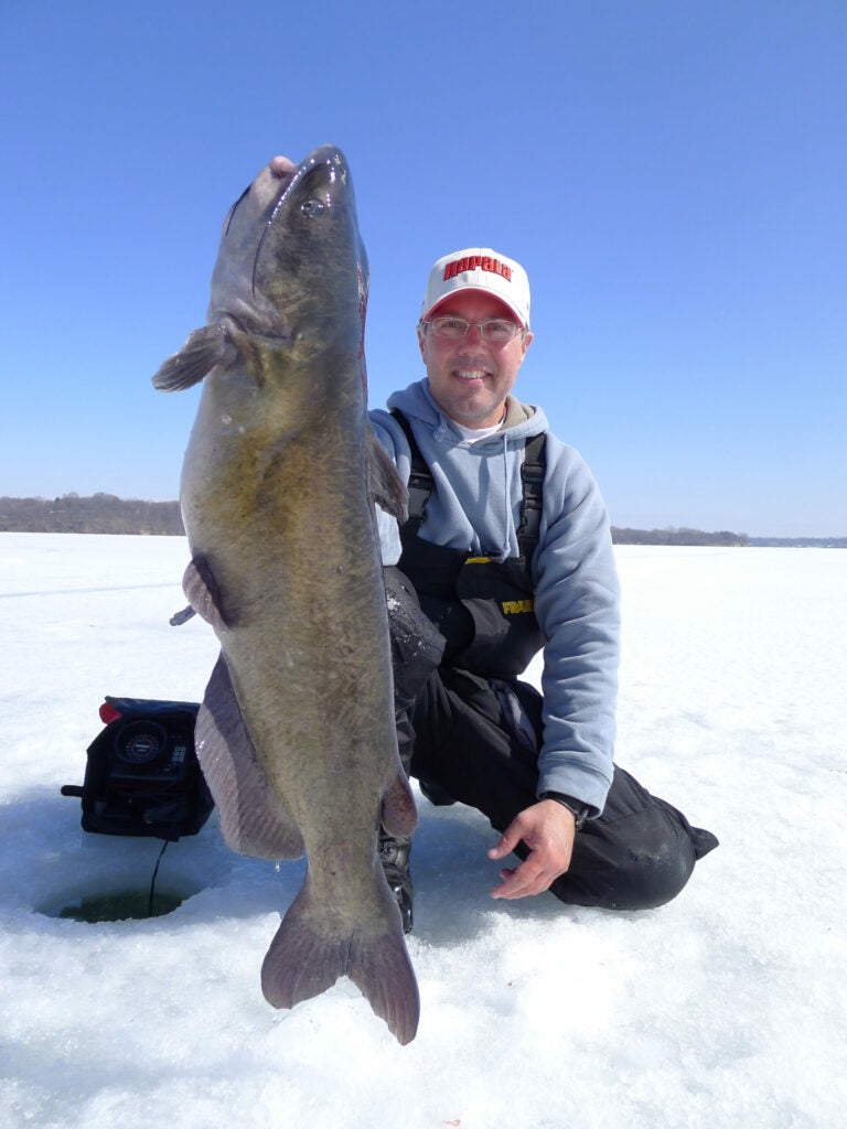 catfish through the ice