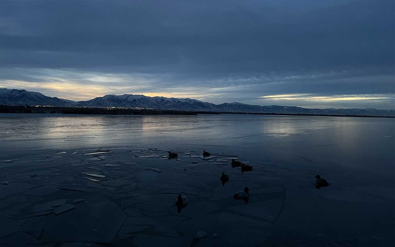 Duck decoys are sitting in icy water before shooting light.