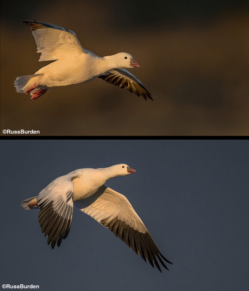 The Many Moods Of Motion