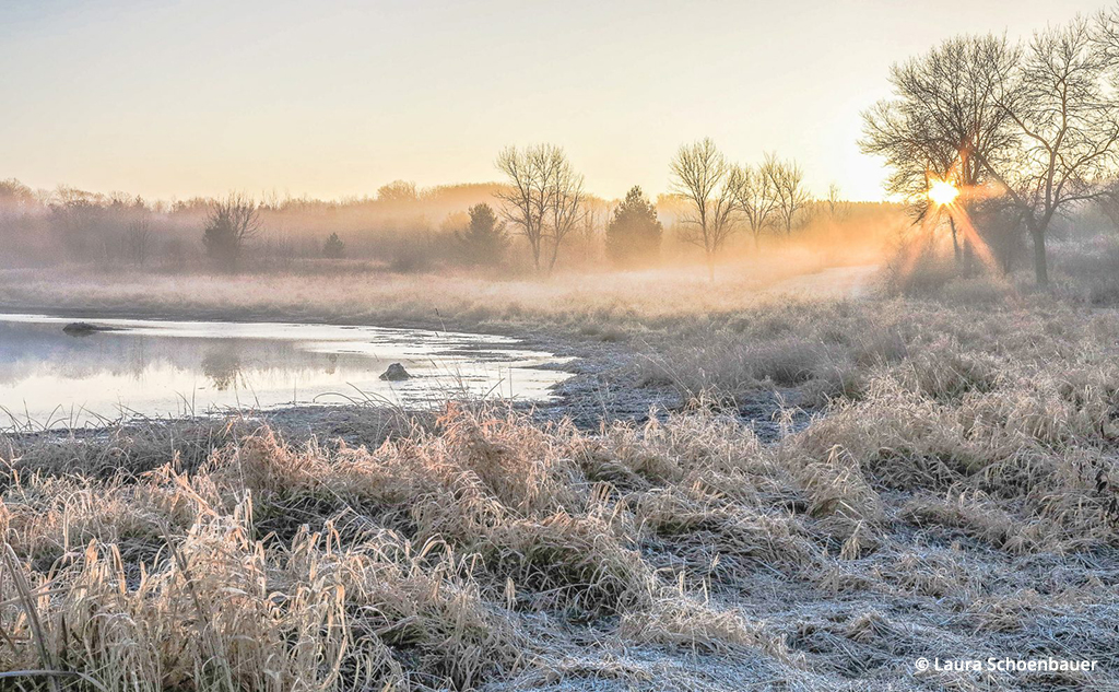 Photo Of The Day By Laura Schoenbauer