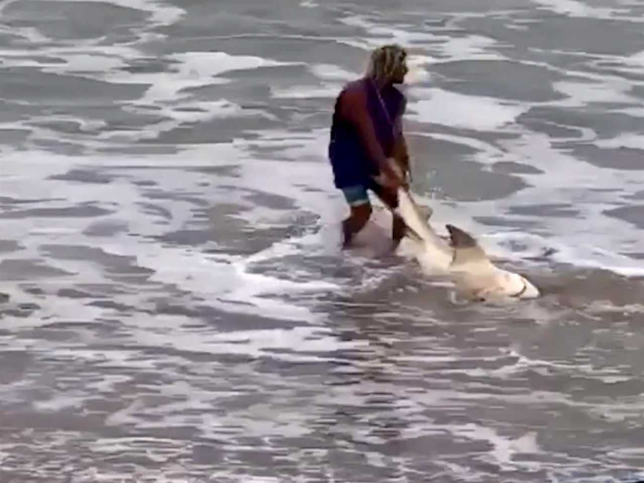 FL shark beating video