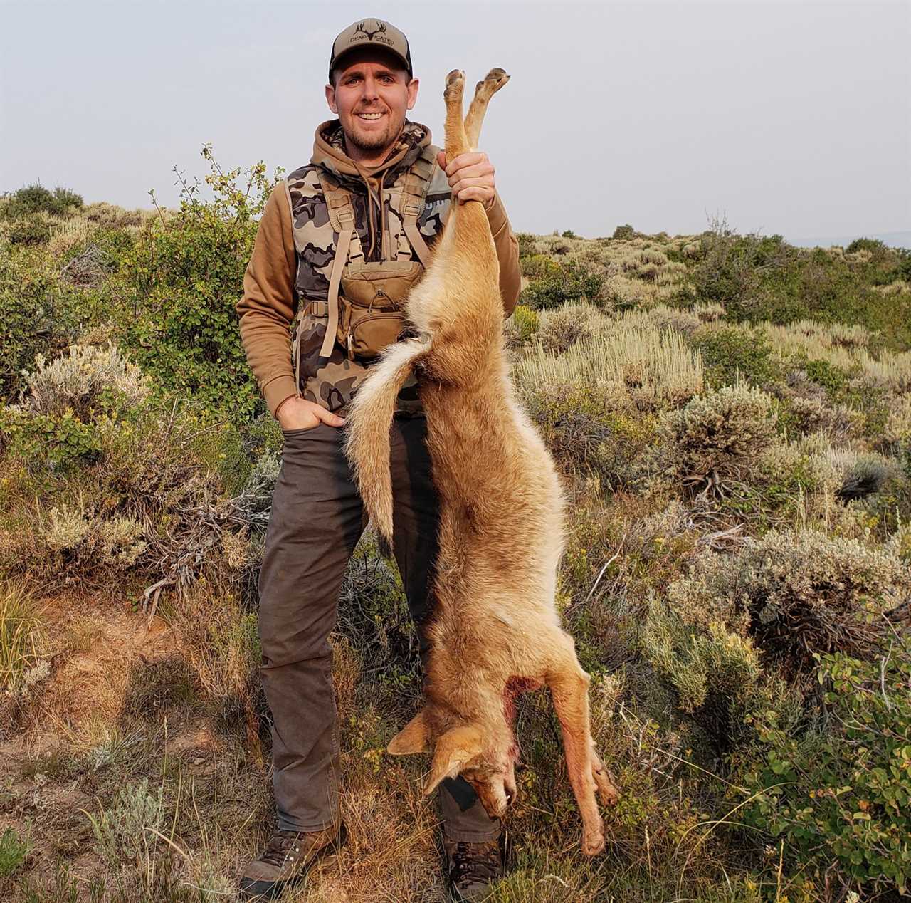 Coyote hunting gear
