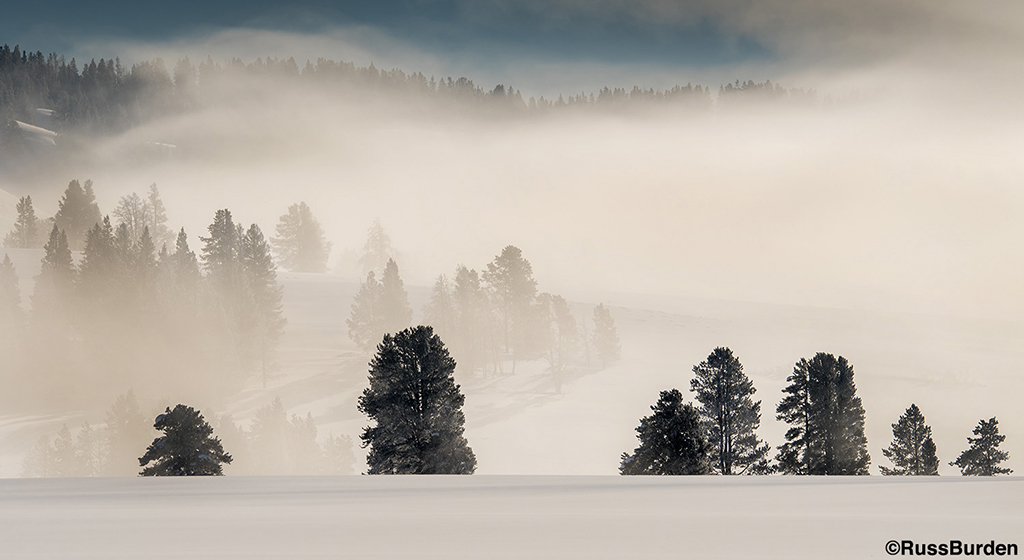 It’s Cold Outside: Winter Photography Tips