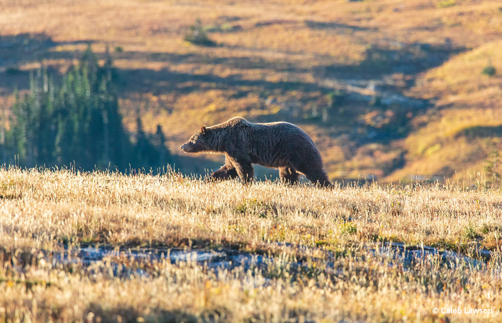 Photo Of The Day By Caleb Lawson