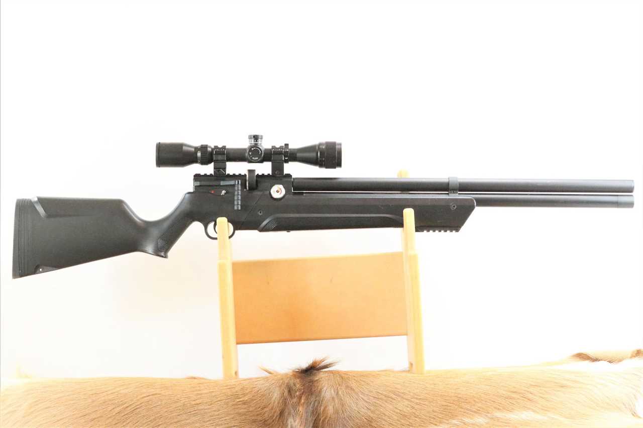 The Air Venturi is our pick for best air rifle.