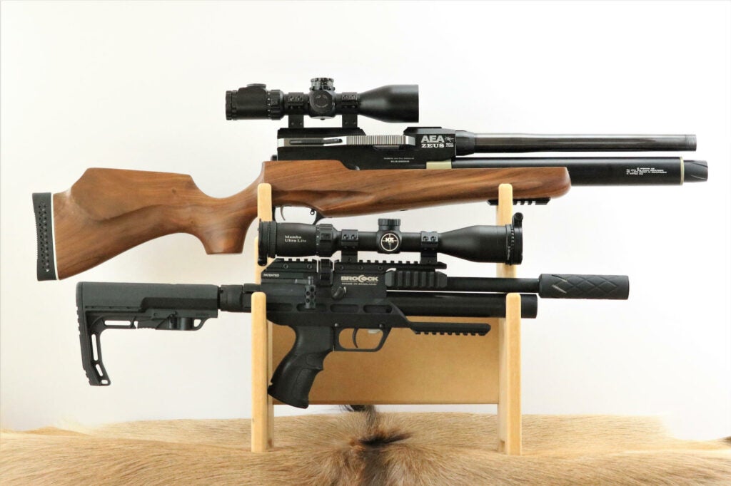 The Best Air Rifles of 2022
