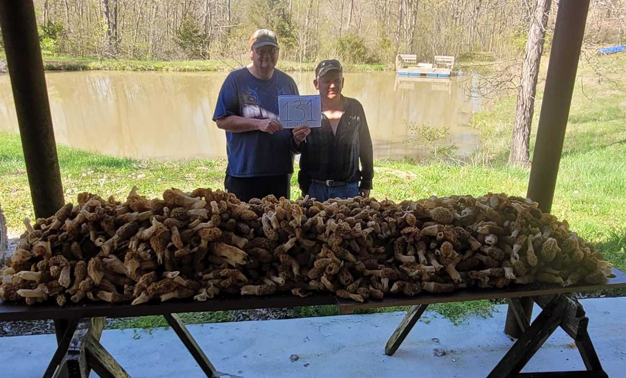 Morel mushroom hunters from Iowa