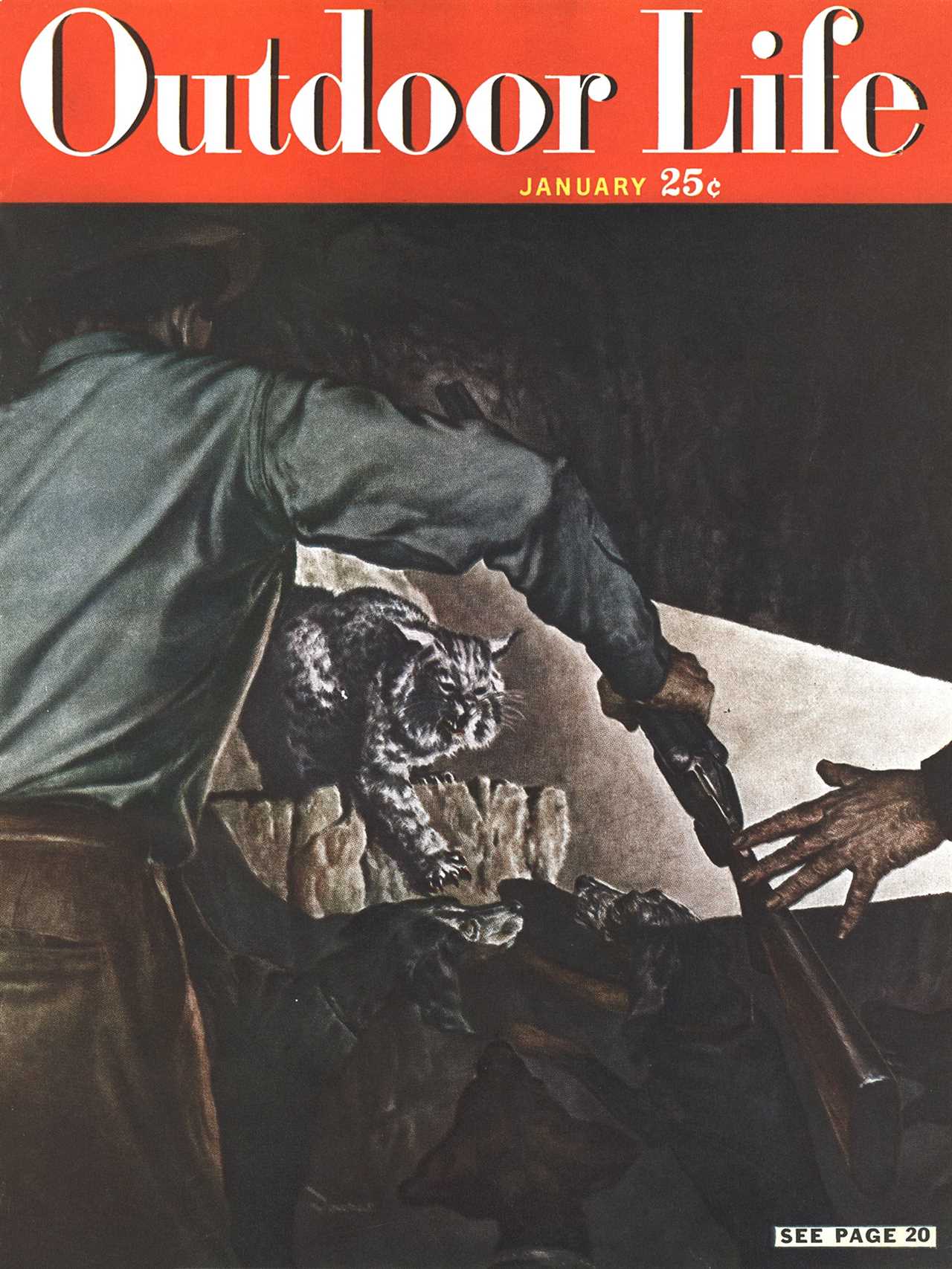 1949 magazine cover with bobcat