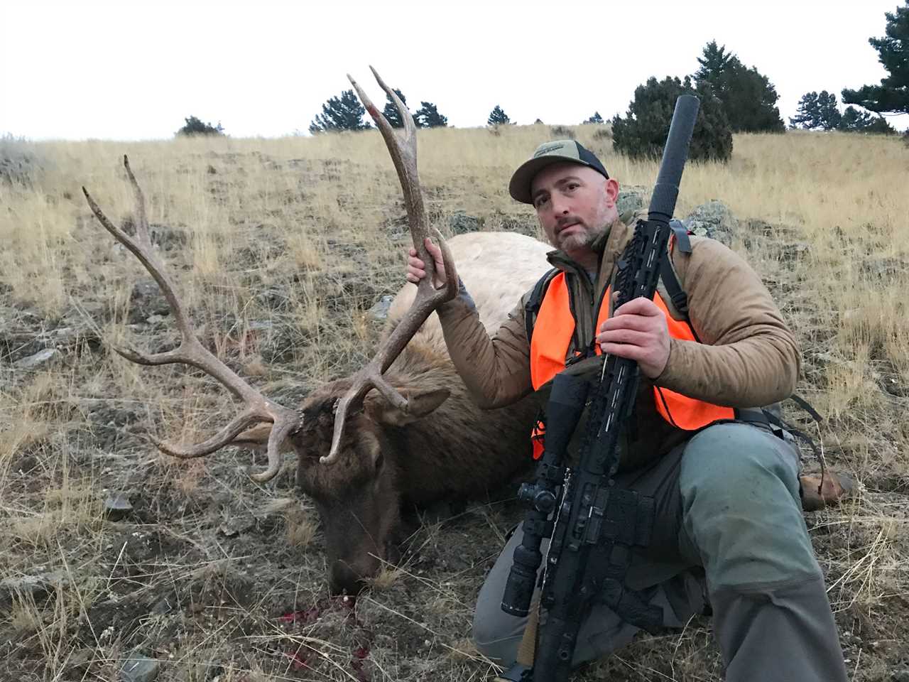 bull elk taken with a Modern Cartridge Design bullet