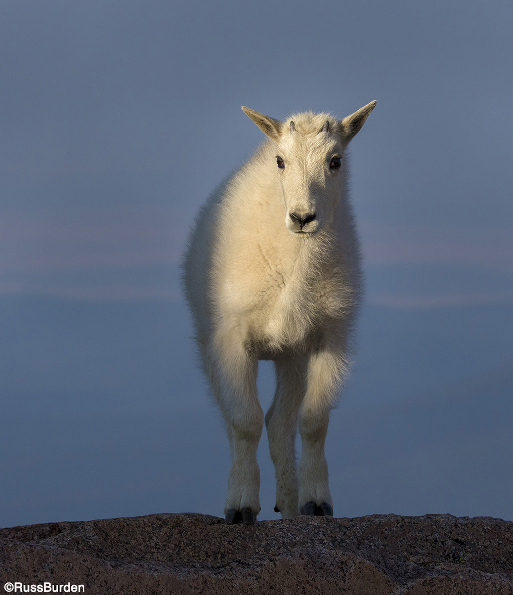 Step Up The Level Of Your Nature Photography