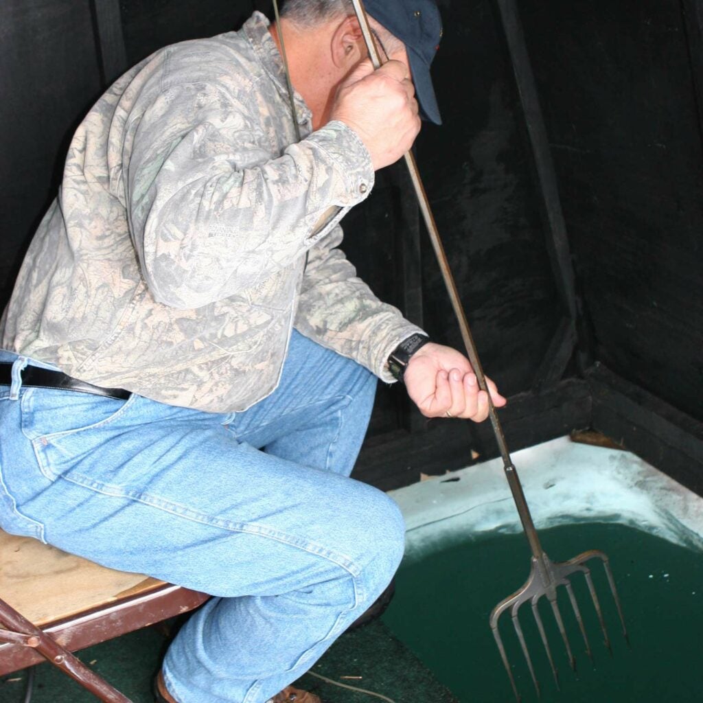 An angler prepares to spear a pike fish.