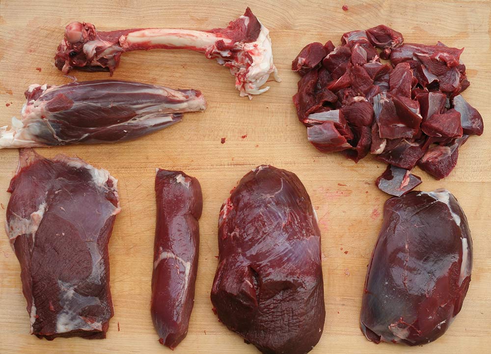 cuts of venison