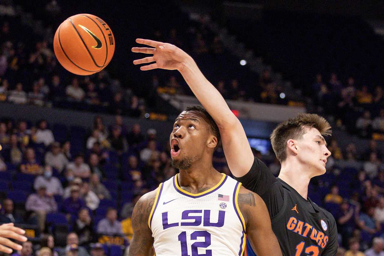 Gators leap in updated NET rankings following LSU win