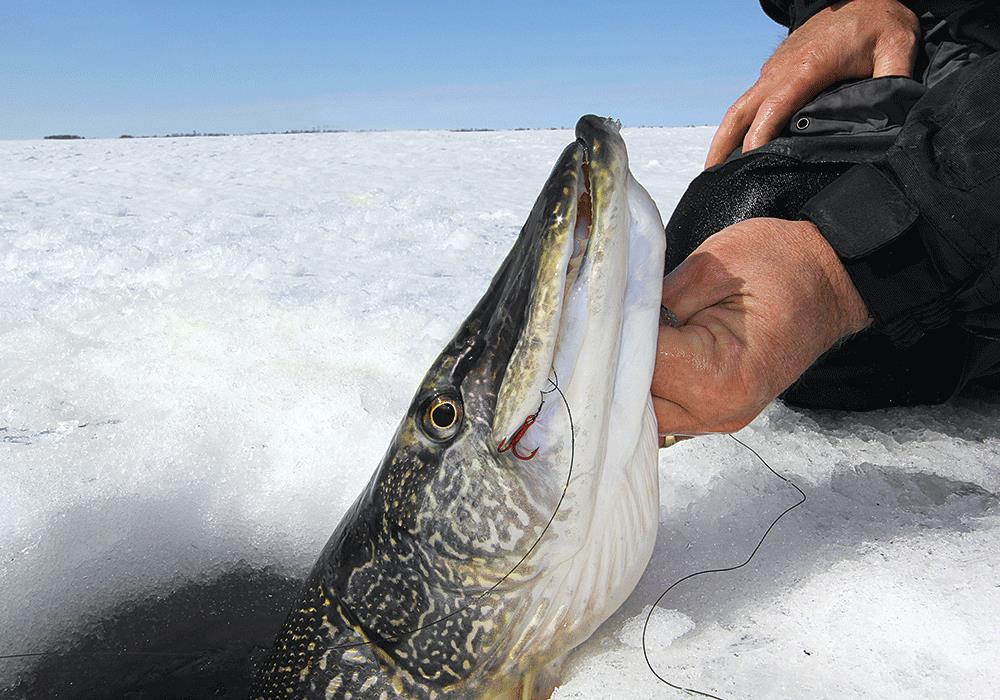 ice fishing for pike