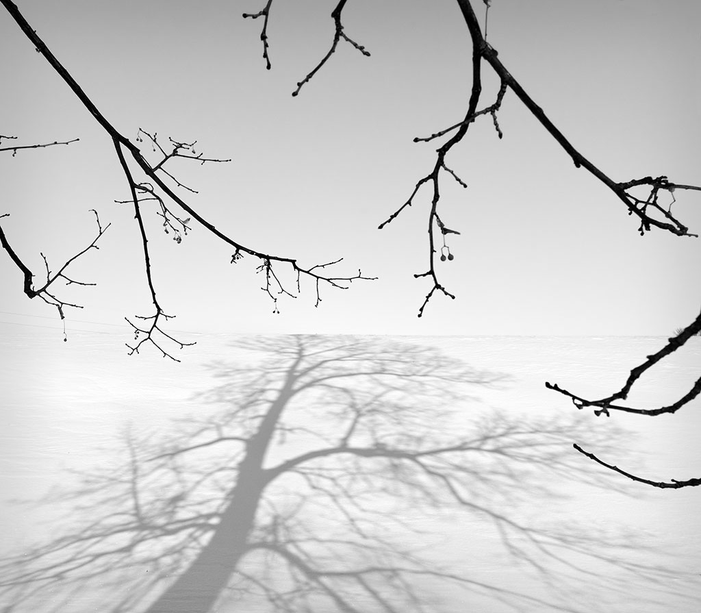 Photo of a snowy landscape