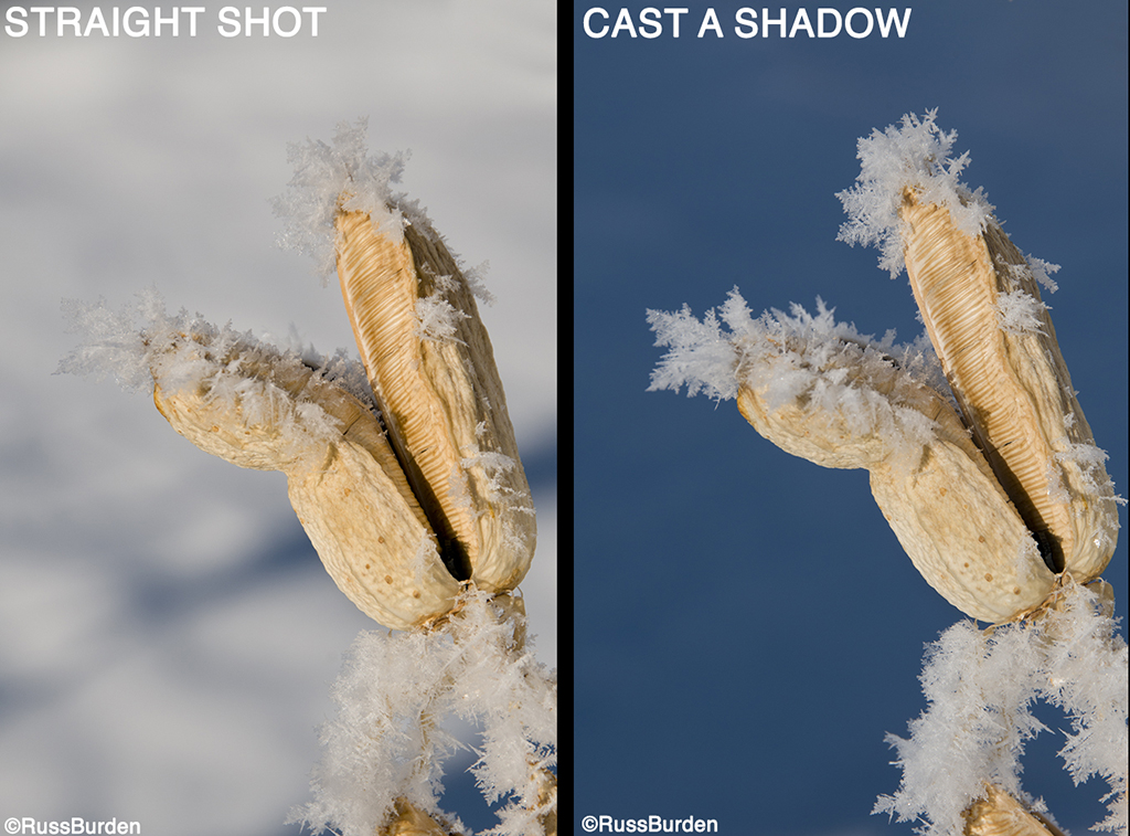 4 Photography Hacks To Try