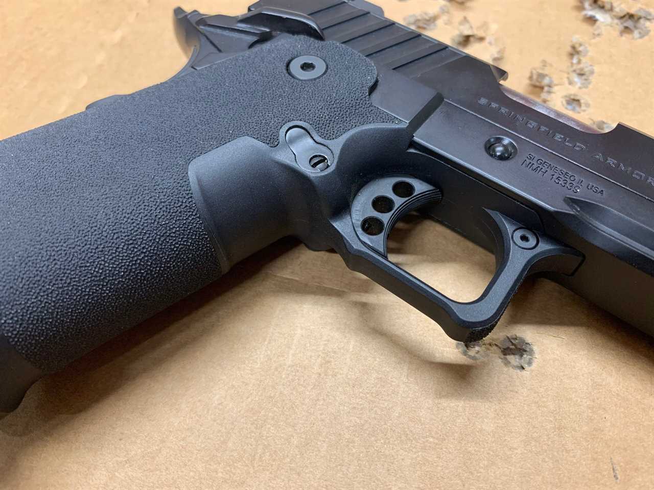 Springfield 1911 DS grip module