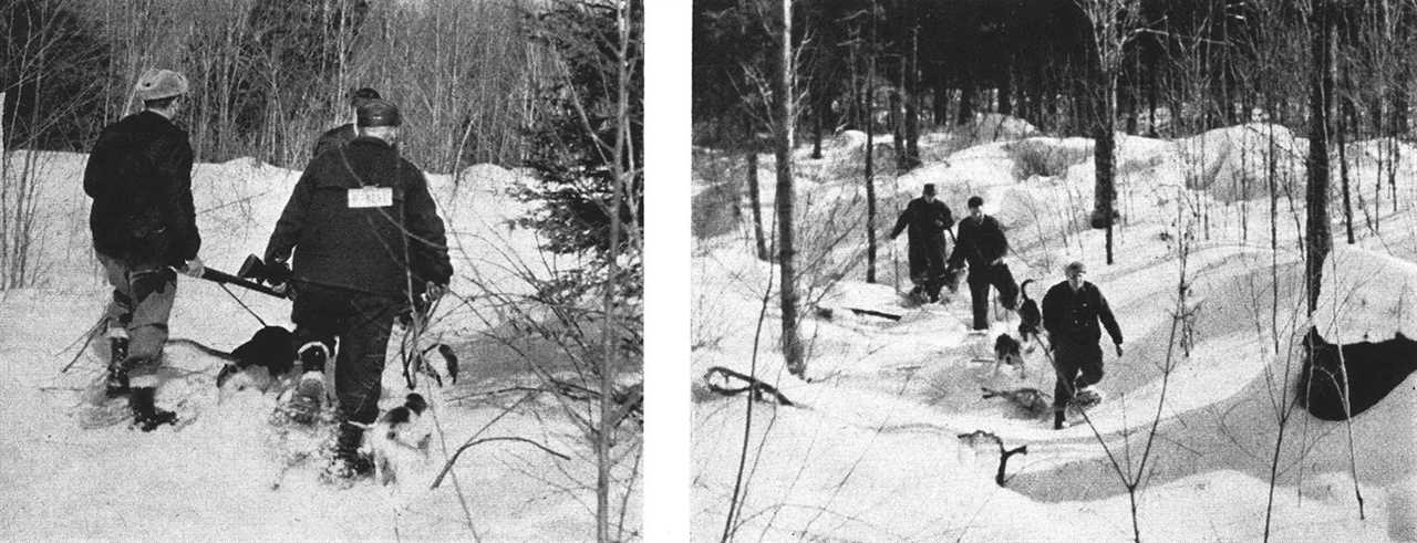 two images of coyote hunters and dogs, before and after hunt