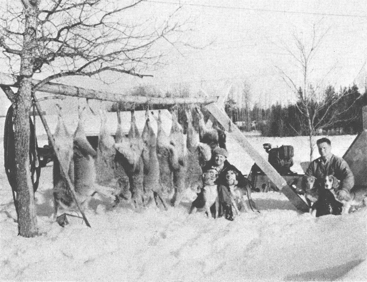 two hunters and four dogs with 10 coyotes