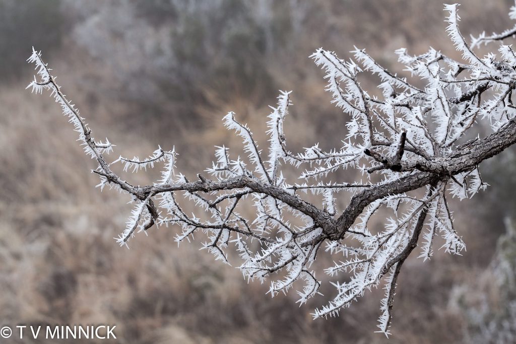 Photo Of The Day By natrpixdvm