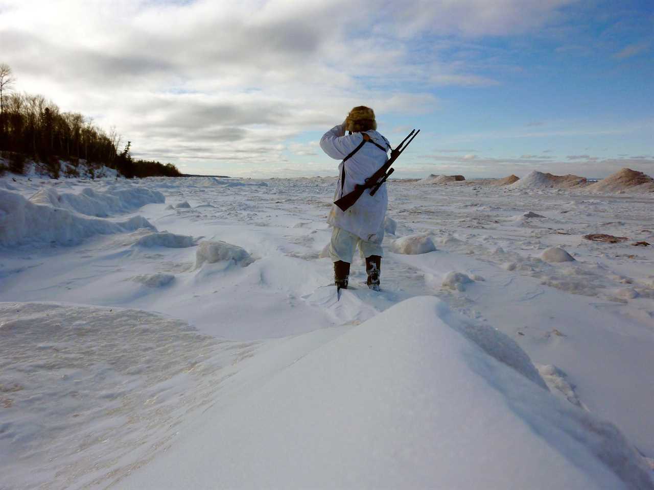 coyote hunting lake superior