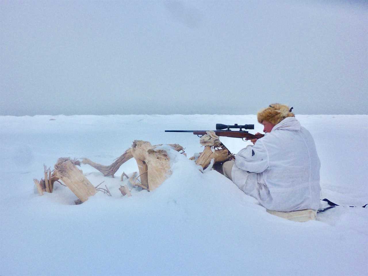 coyote hunting lake superior