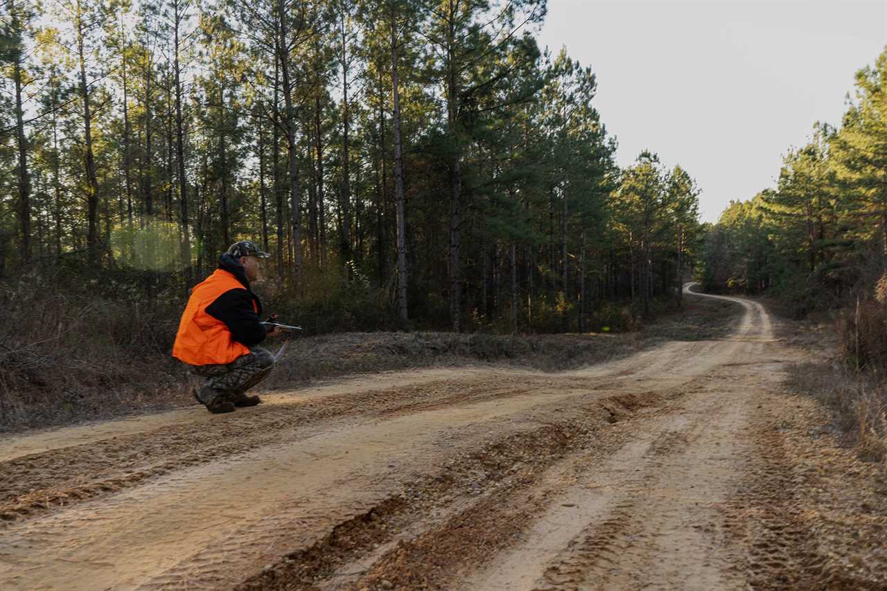 hunting deer with hounds