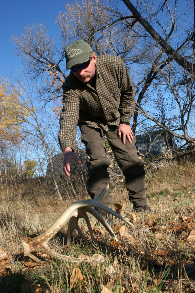 Hunter picking up a shed antler in the woods.