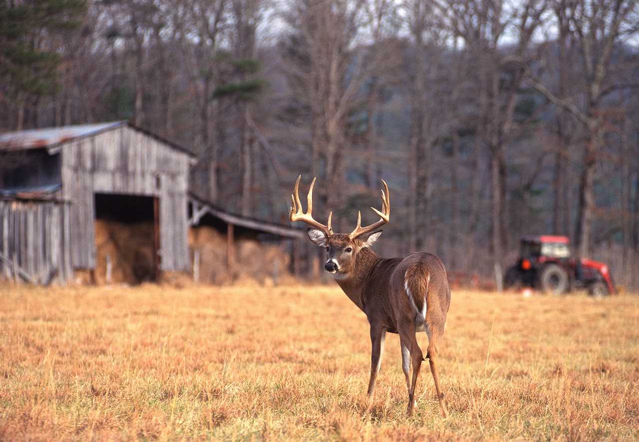 private land buck