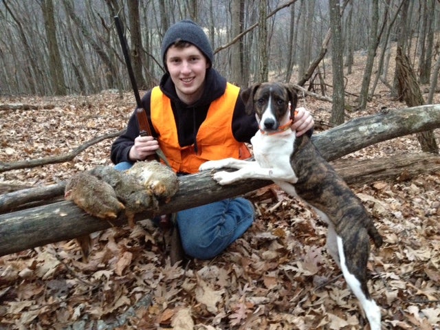 squirrel hunting dogs