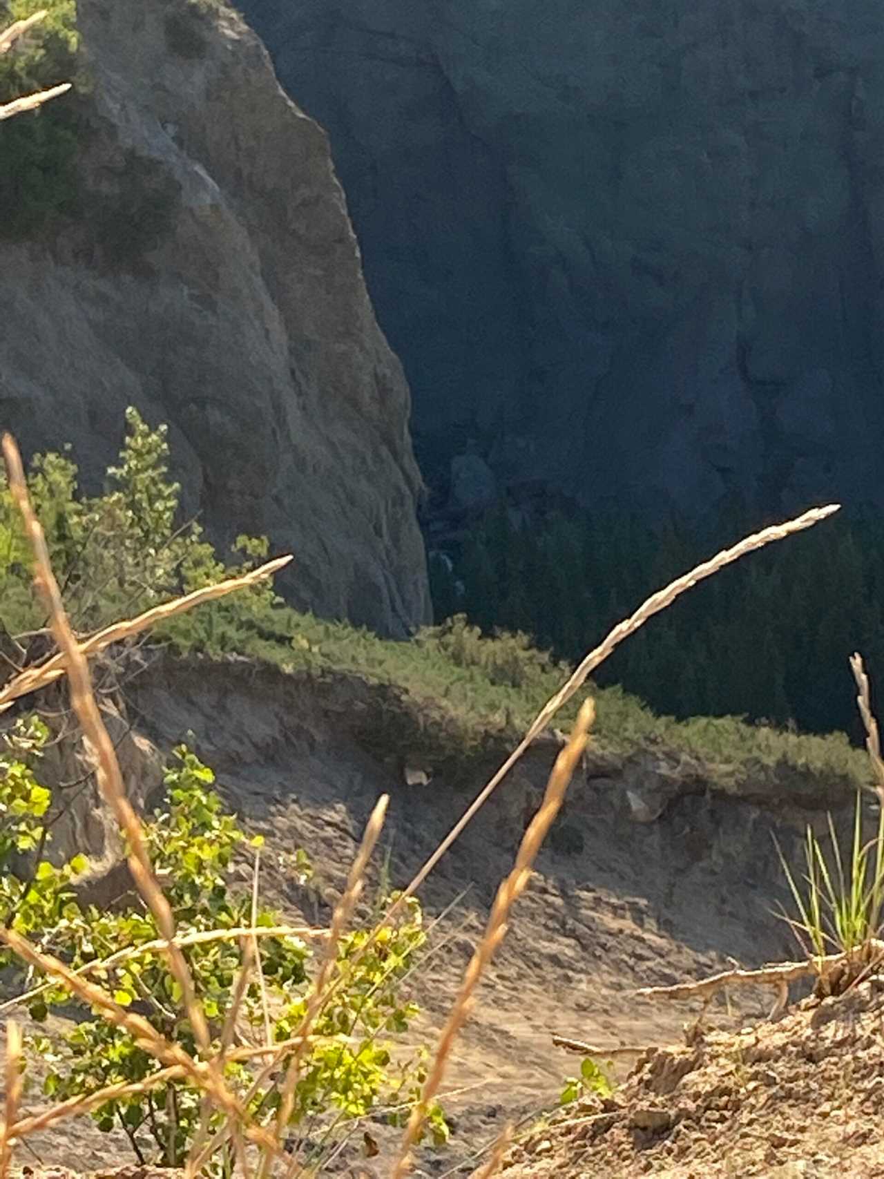 Justin Kallusky rocky mountain goat