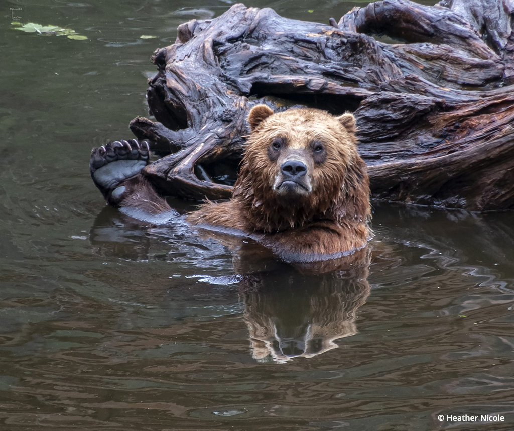 Photo Of The Day By Heather Nicole