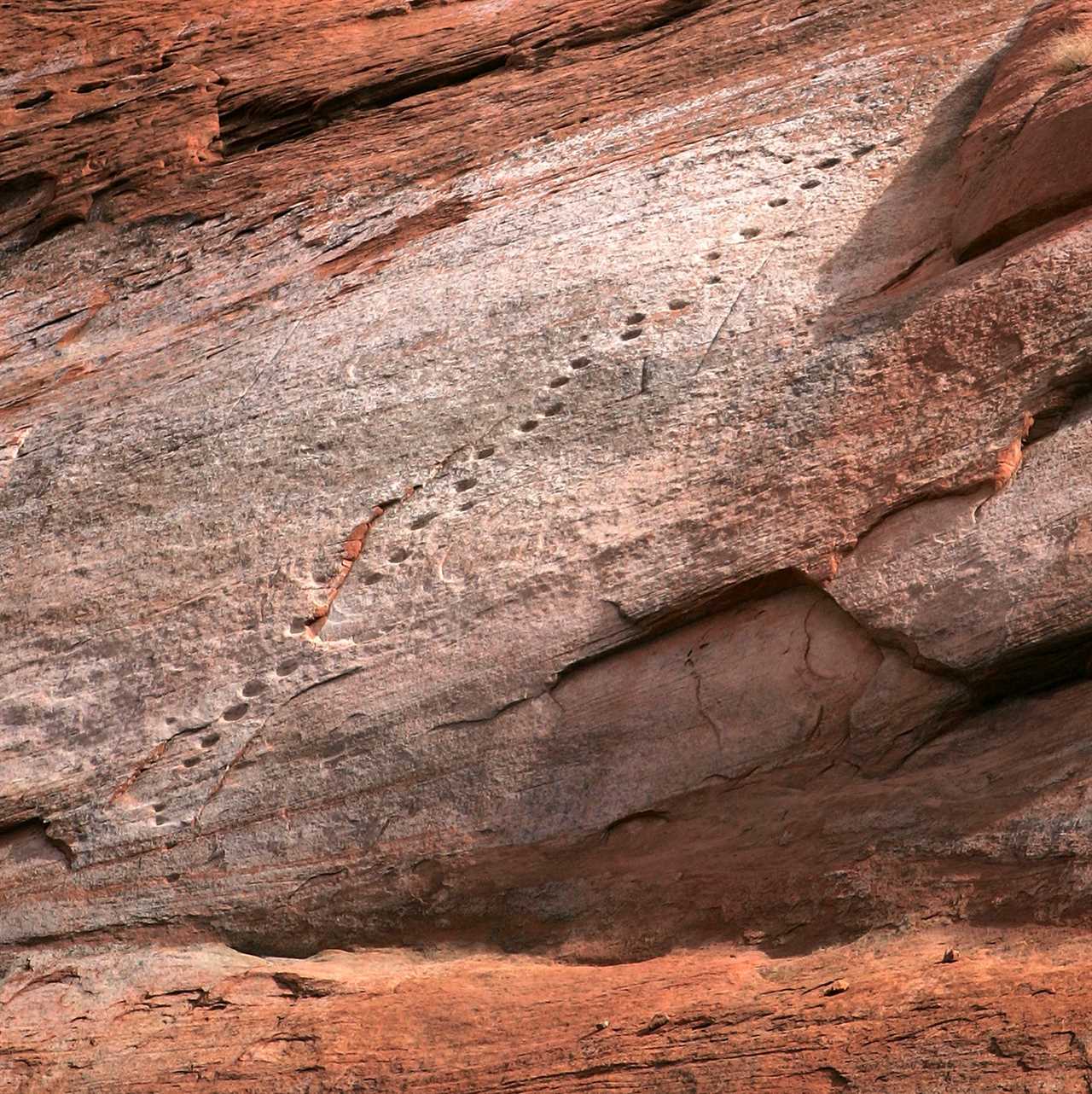 ladder carved into desert rock