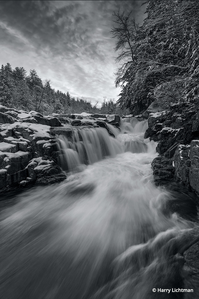 Photo Of The Day By Harry Lichtman