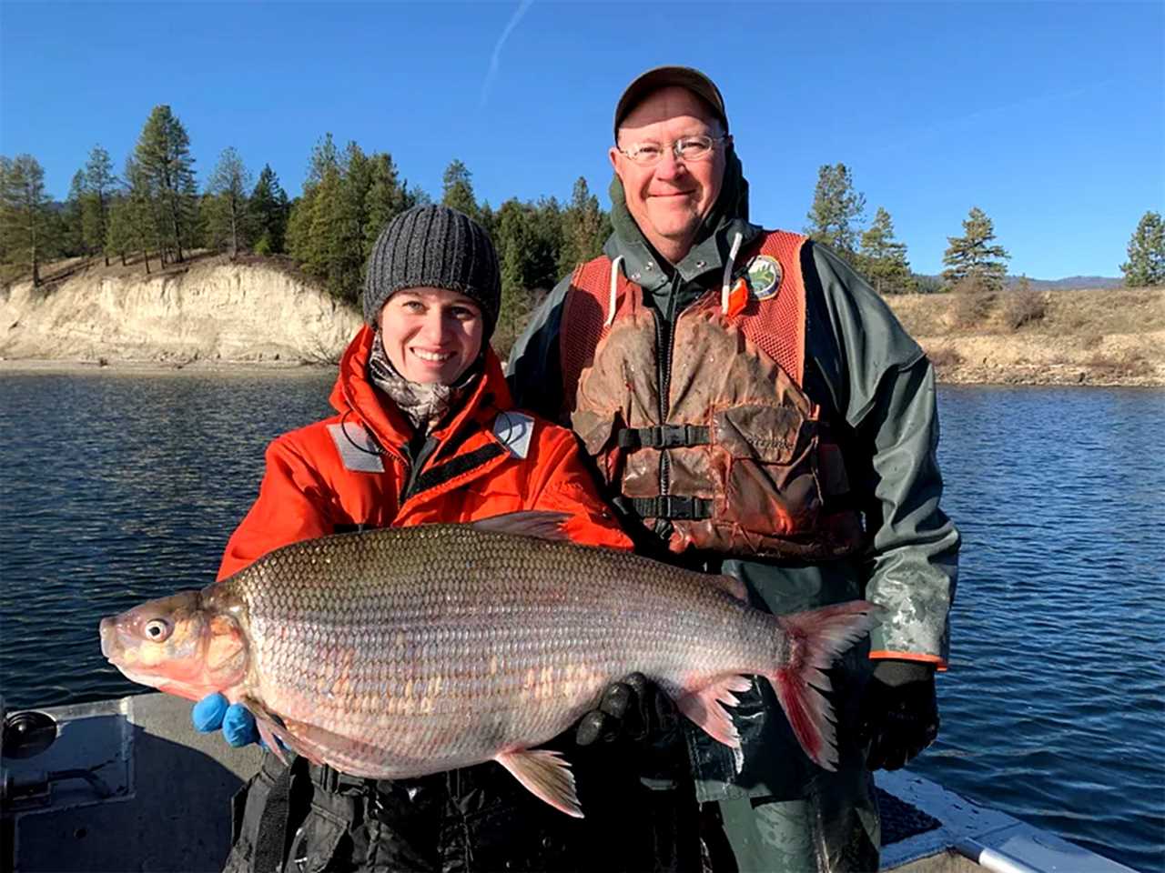 washington record lake whitefish