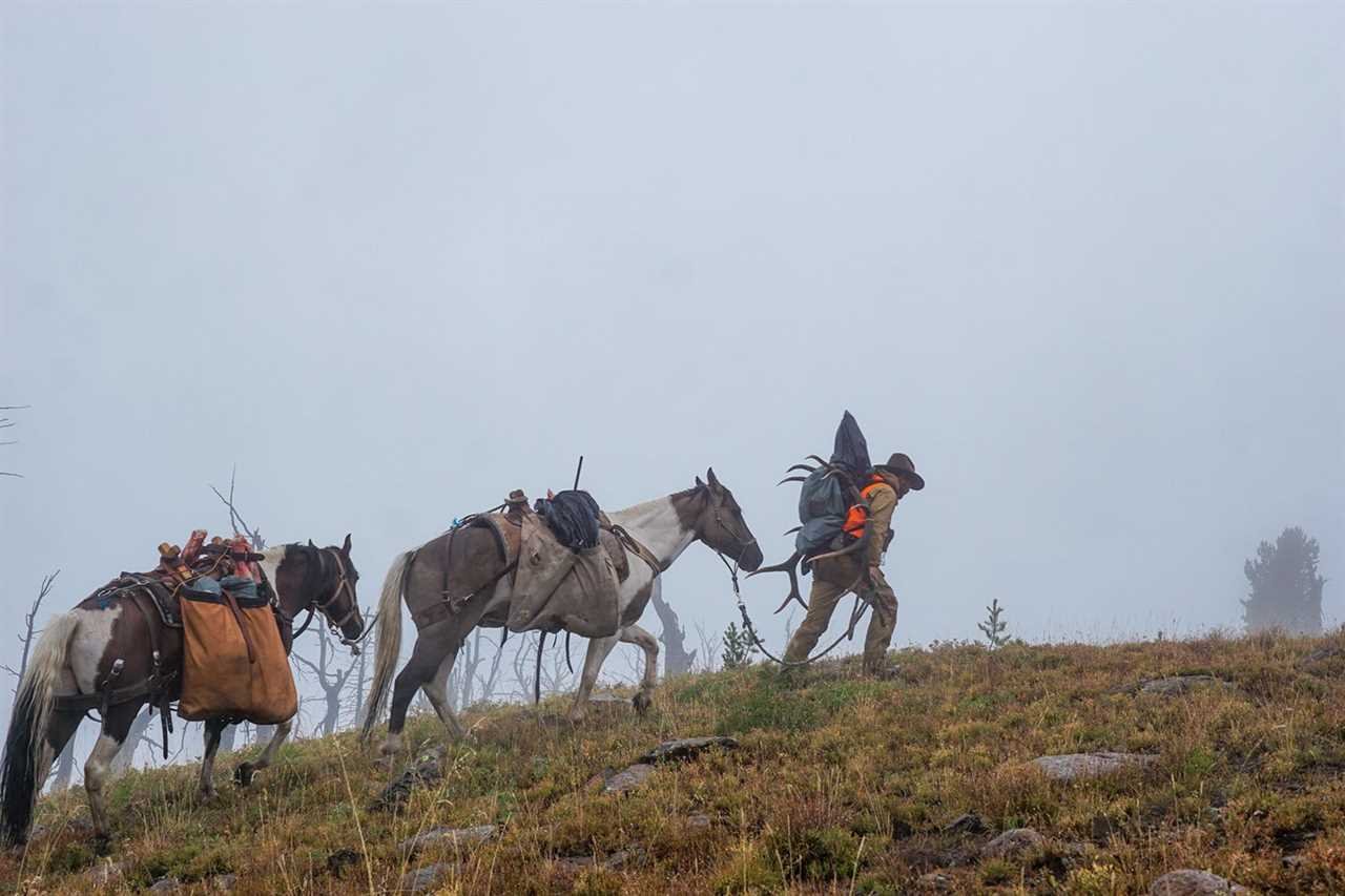 hunter leads pack train