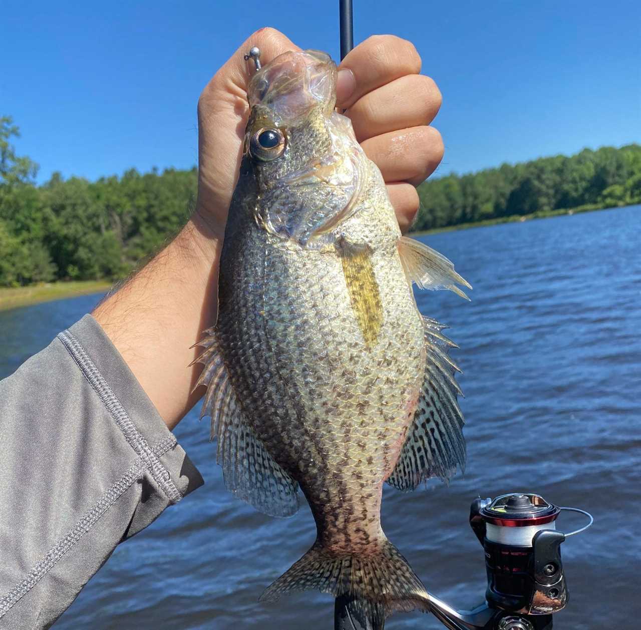 The Best Crappie Lures of 2023, Tested and Reviewed