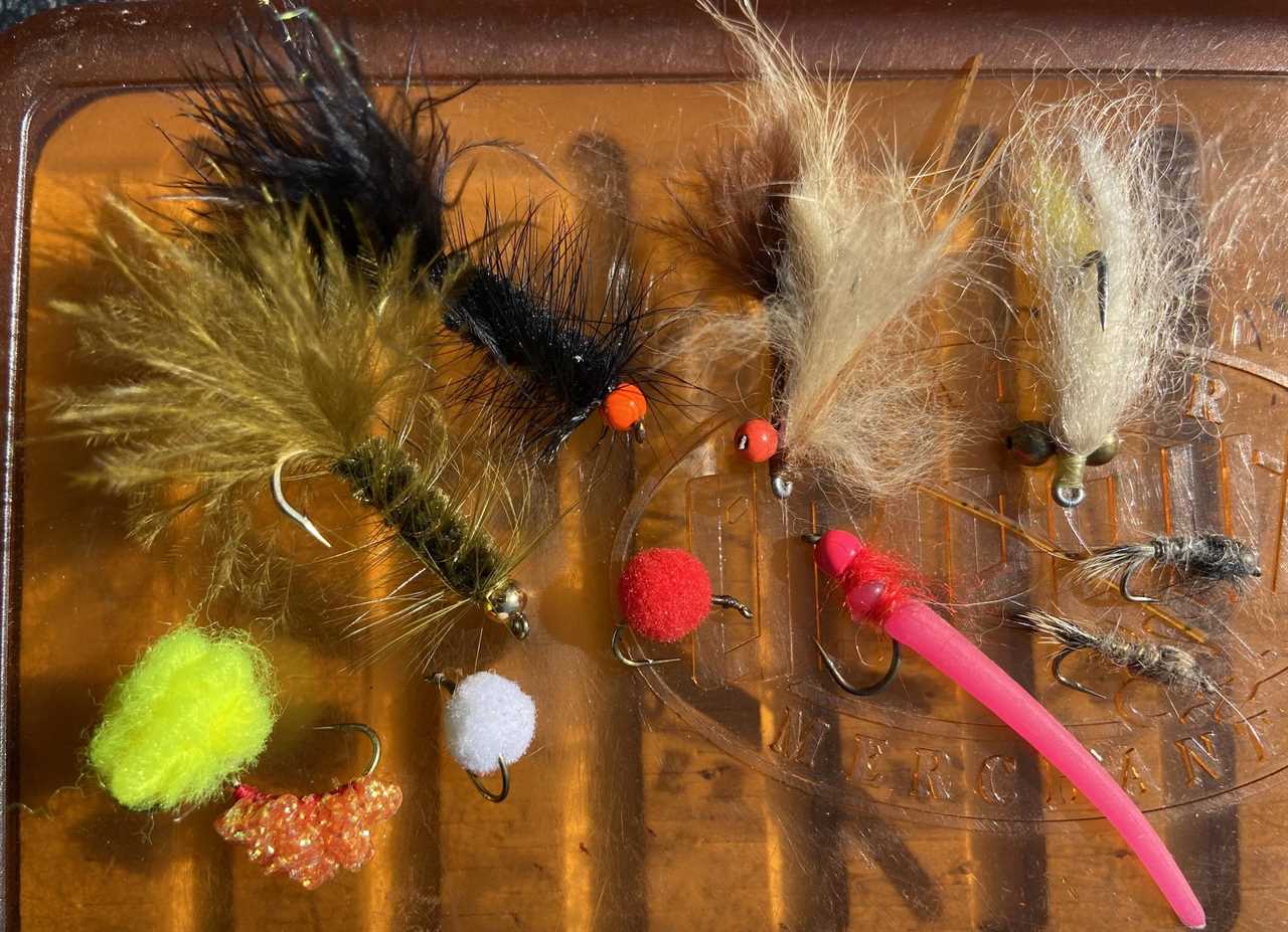 flies for carp