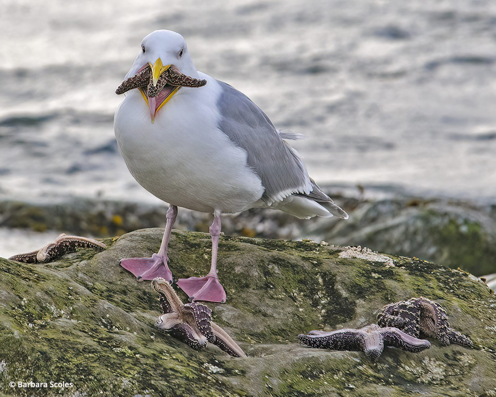 Photo Of The Day By Barbara Scoles