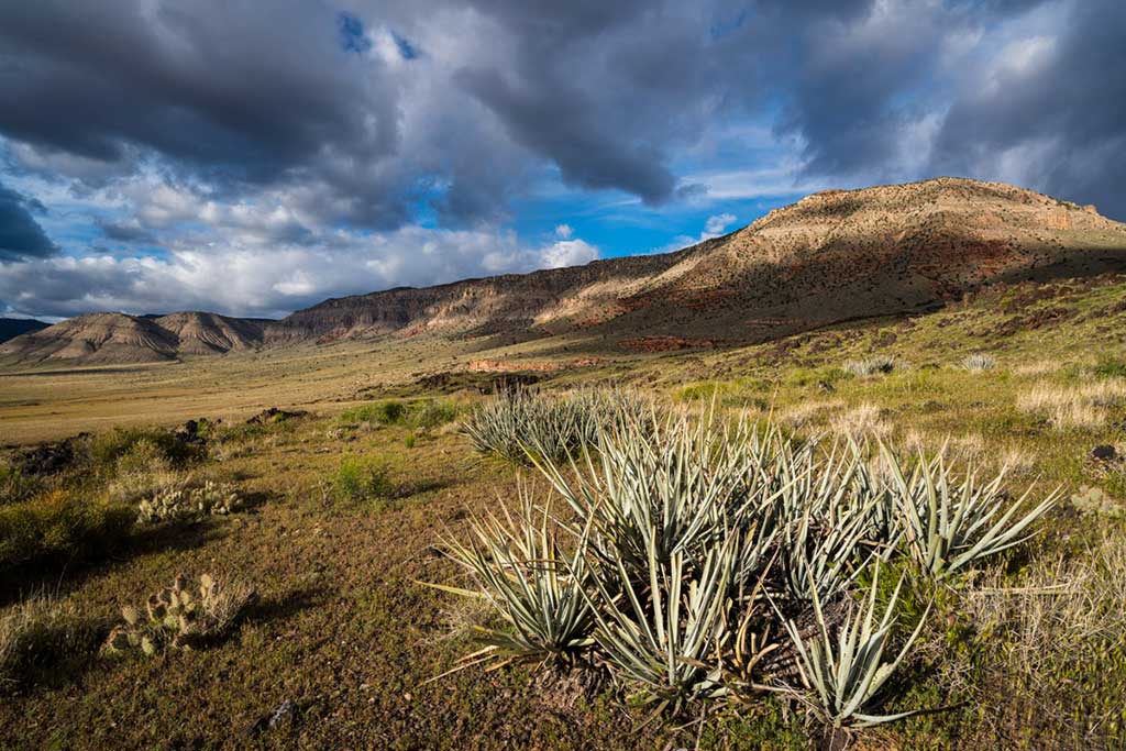 Photo Book Review: “Our National Monuments” by QT Luong