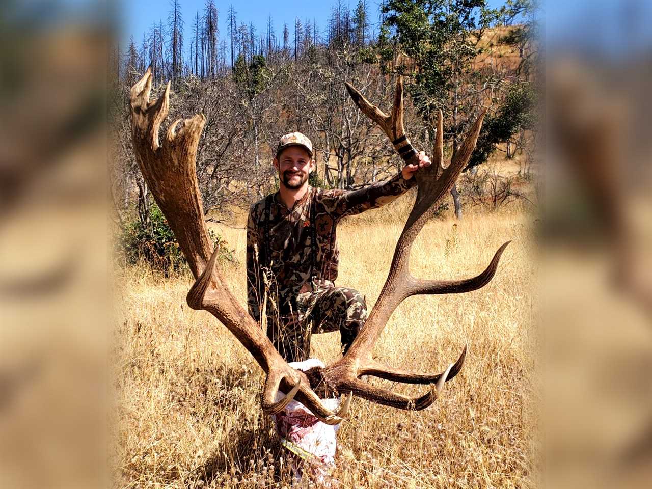 oregon record cascade roosevelt elk