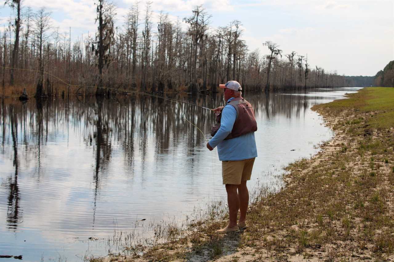 Fly fishing in Okenfenokee.