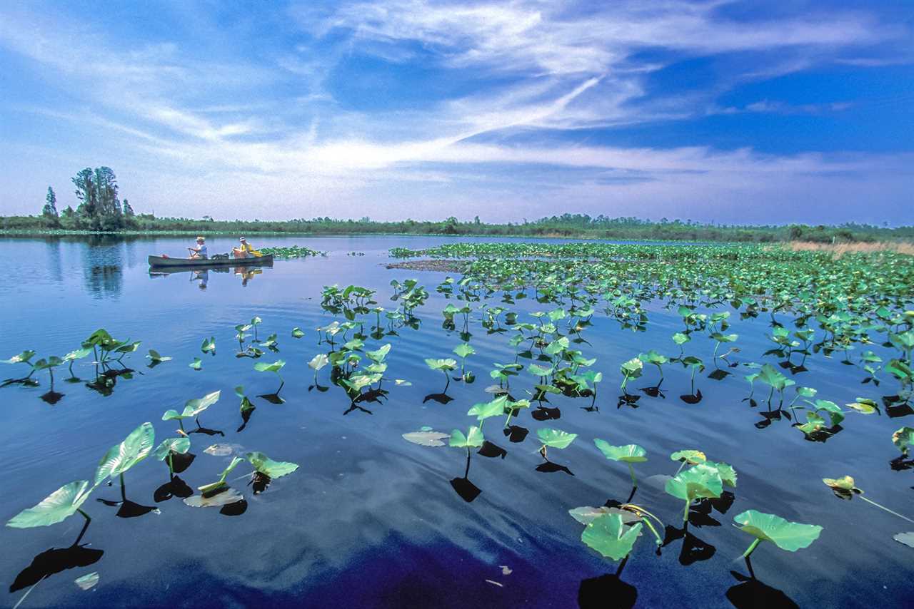 Paddling the Okenfenokee in a canoe.