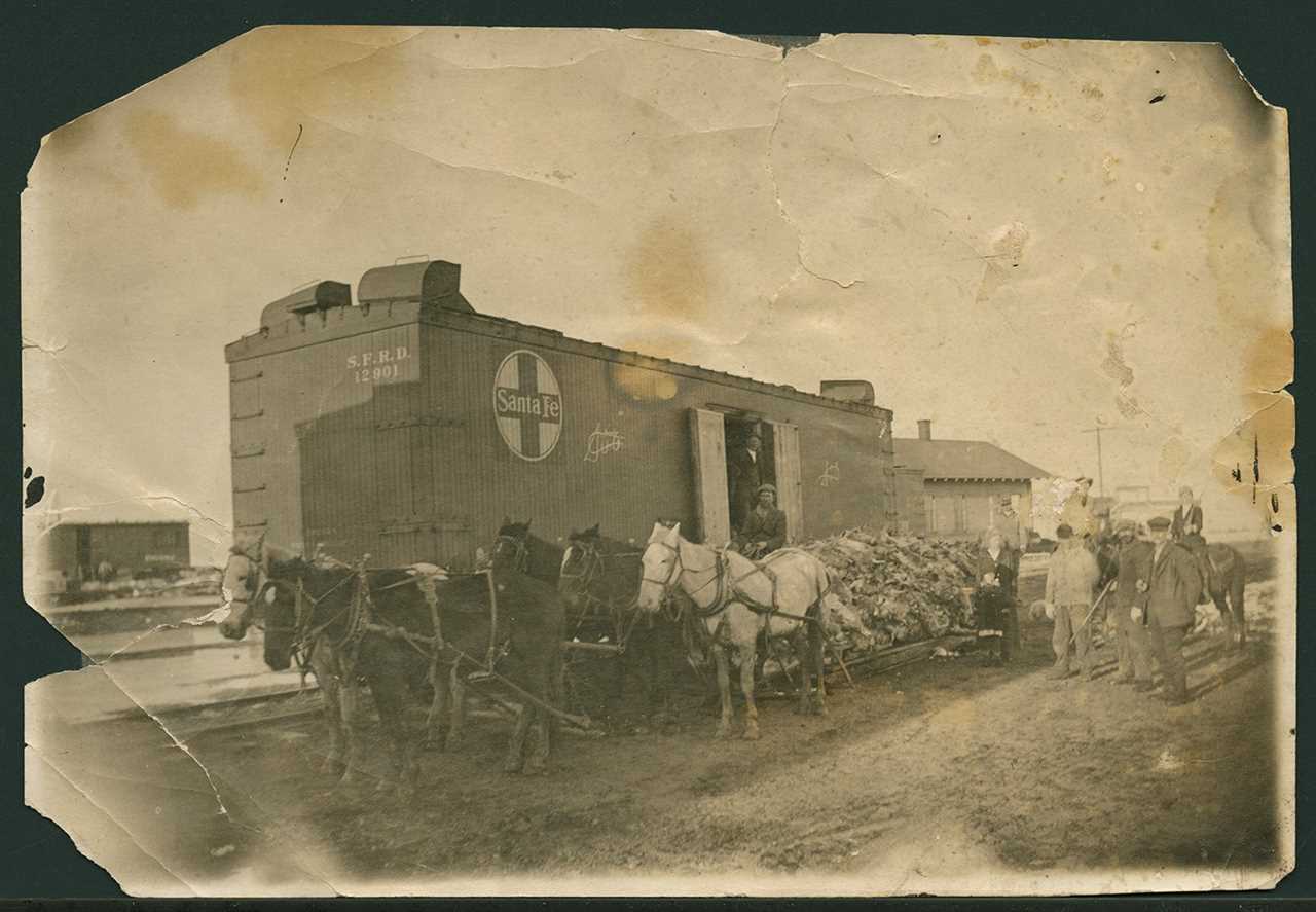 old train, wagon with dead rabbits