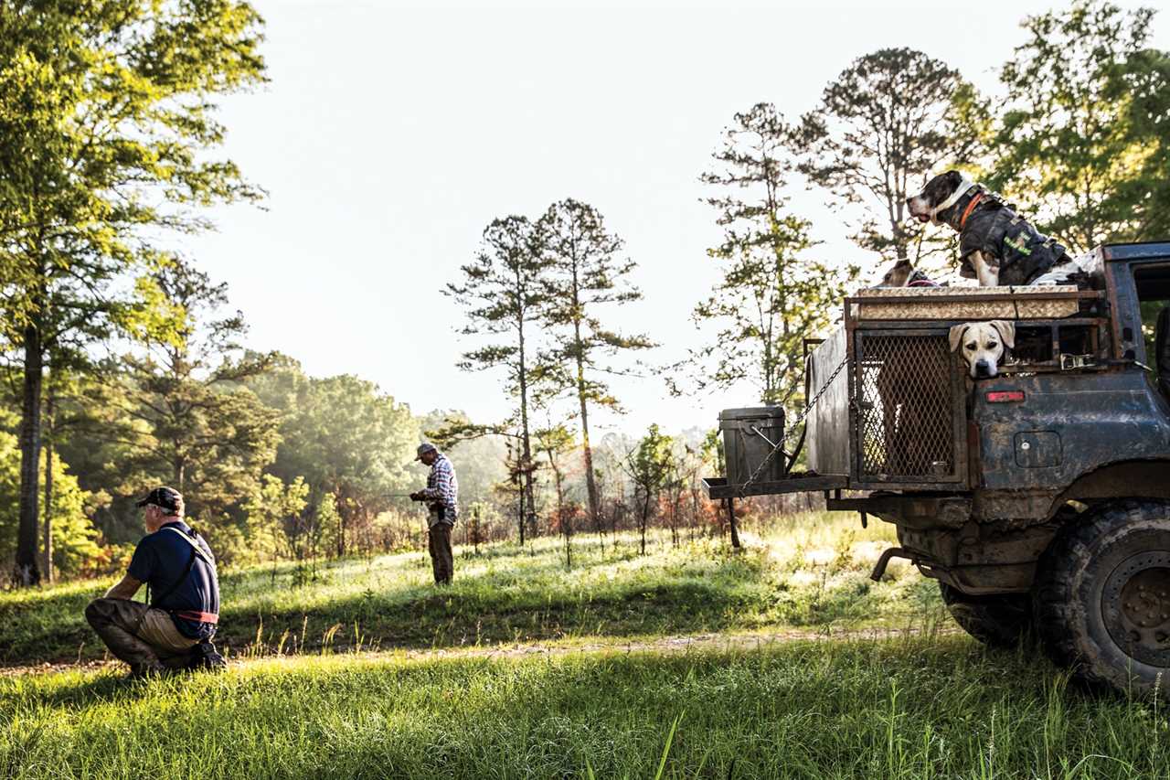 Two hunters watch their GPS devices and listen for their hog dogs.